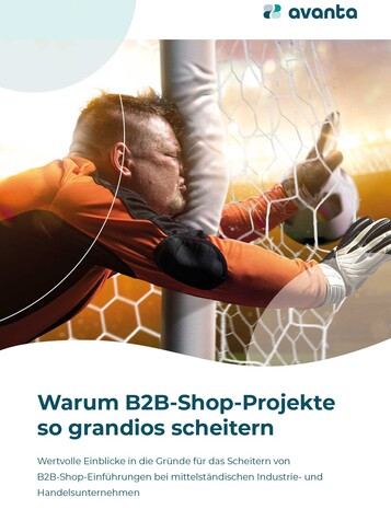 Warum B2B-Shop-Projekte scheitern – Whitepaper zum Download